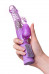 Ротационный вибратор с клиторальным зайчиком A-Toys High Tech Vibrator (8 режимов вибрации, 4 ротации) Ротационный вибратор с клиторальным зайчиком A-Toys High Tech Vibrator (8 режимов вибрации, 4 ротации)
